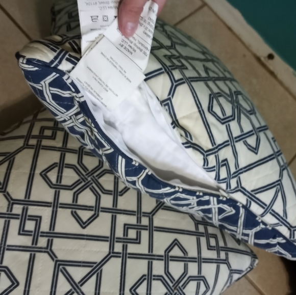 Home Goods Blue & White Patterned Down Pillows - Picture 5 of 6